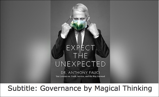 governance by magical thinking.jpg