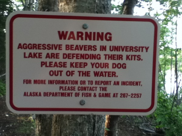 Dog Park Warning.JPG