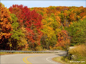 49_fall_foliage_roads sm.jpg