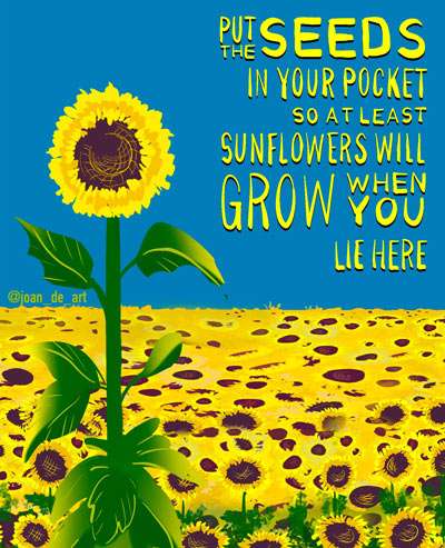 Sunflower_Seeds.jpg