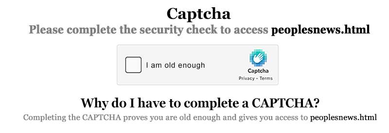 CAPTCHA Challenge Old.jpg
