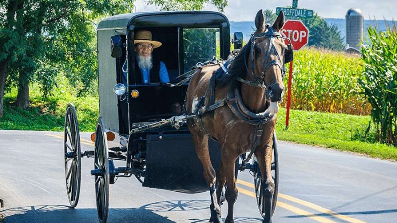 Amish Uber Service.jpg