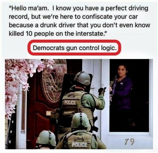 Gun Control logic.jpg