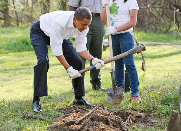 Obama_Digging_Pick.jpg