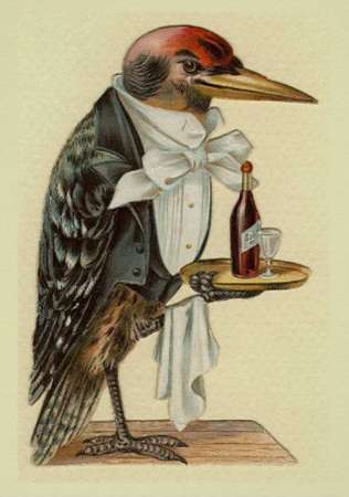 Canadian Champion Waiter Bird.jpg
