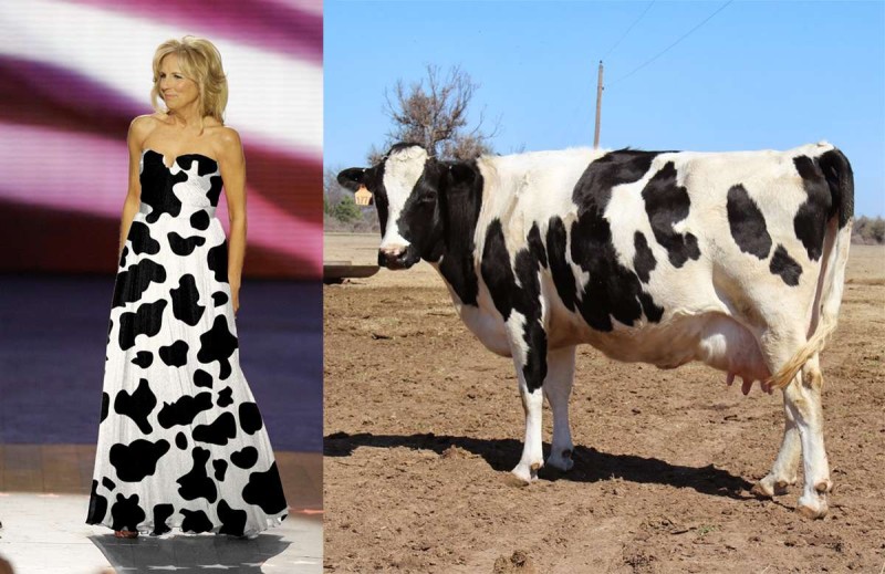 &quot;Doctor&quot; Jill stuns in an udderly underwhelming gown.