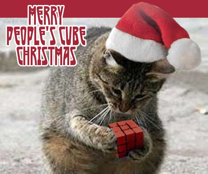 Cat_Christmas.jpg