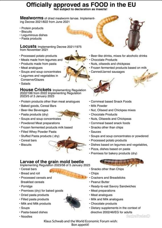 Insect Food Chart.jpg