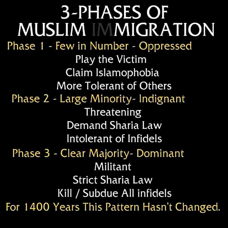 3 Phases of Muslim migration.jpg