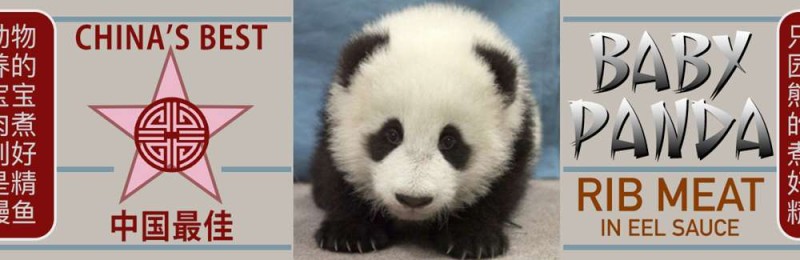 Baby Panda Meat 1.jpg
