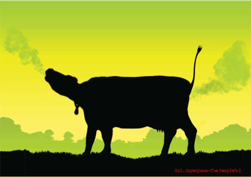 cow  gases.jpg