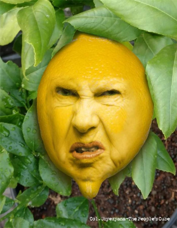 Lemonhead.jpg