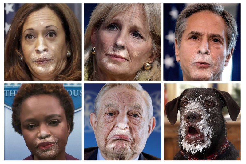 Top left to right— Kamala Harris, Jill Biden and Anthony Blinken. Bottom left to right— Karine Jean-Pierre, George Soros and Hunter's dog, Snow Blast.