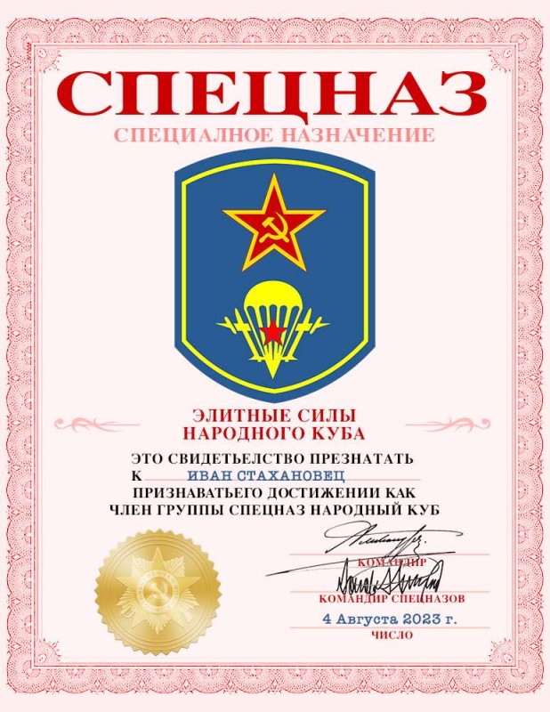 SN Certificate.jpg