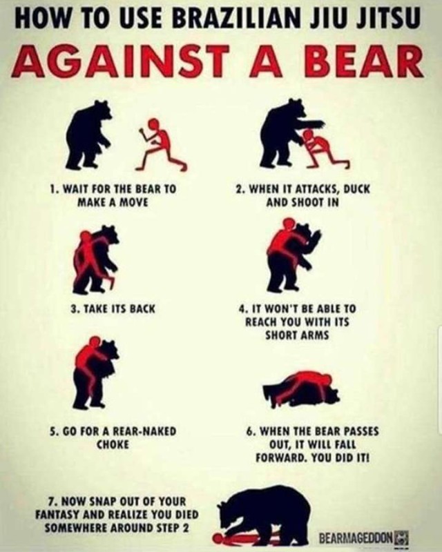 Bear Jiu Jitsu.jpg
