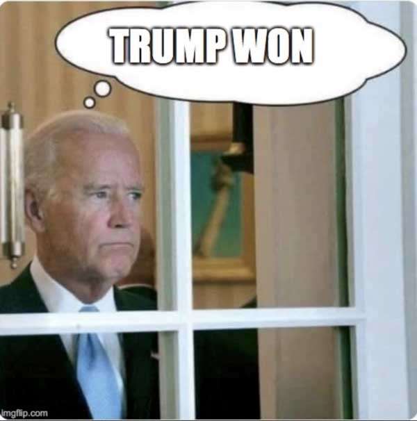 Biden_Trump_Won.jpg