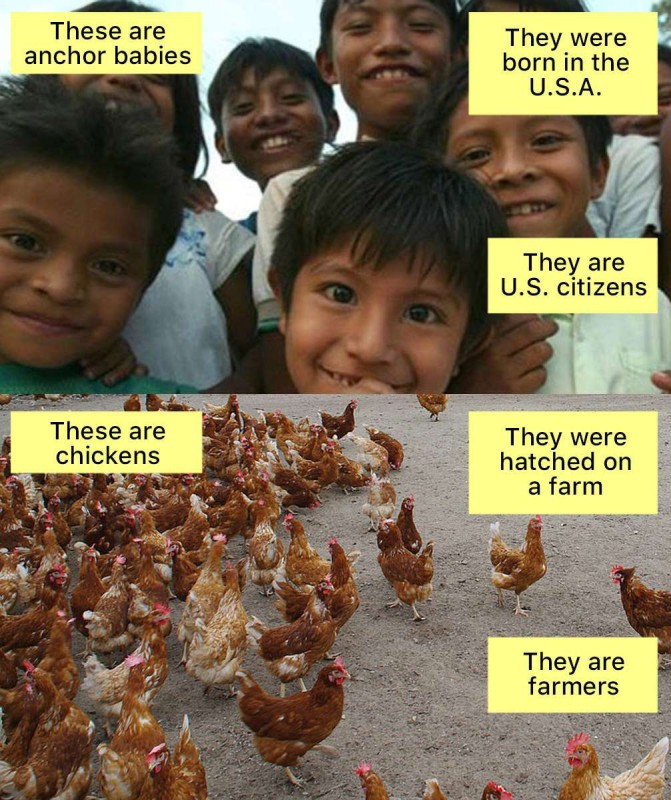 No Americans are They.jpg