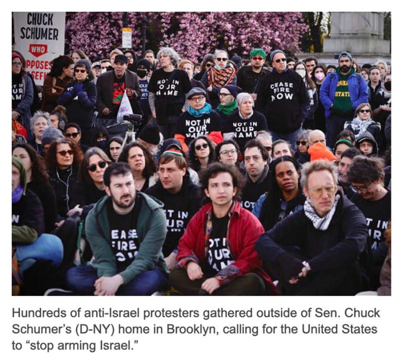 anti-Israel protesters gathered outside of Sen. Chuck Schumer's (D-NY) home in Brooklyn,.jpg