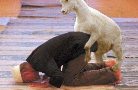 Mooslim goat revenge Prayer Interruption.jpg