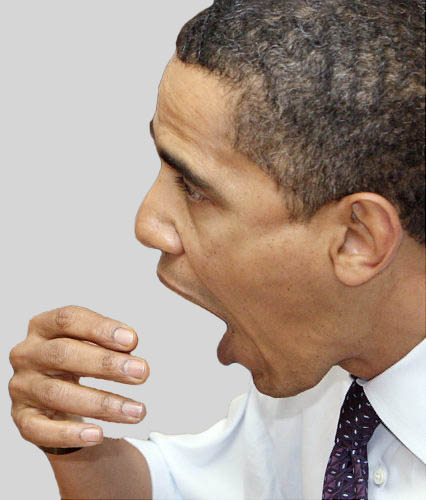 Obama choke.jpg