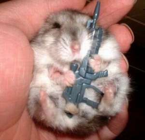 mouse-with-gun.jpg