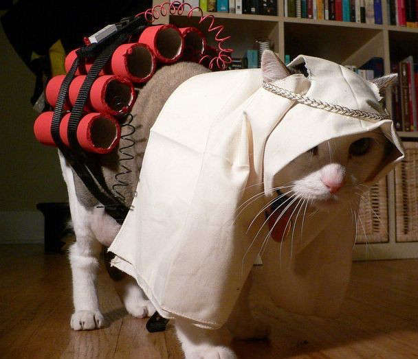 suicide-bomber-kitty.jpg