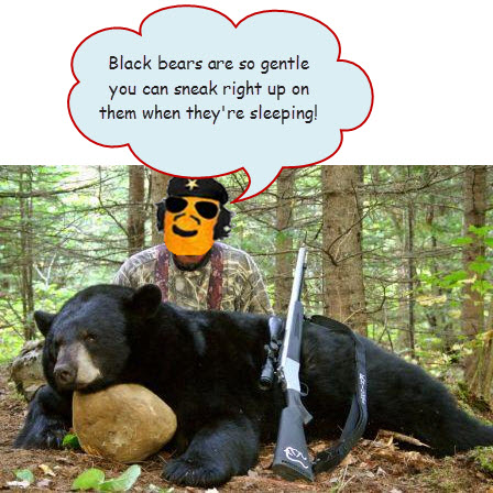black-bear1.jpg