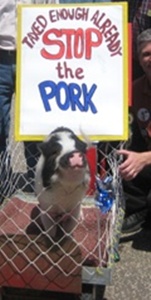 pork rally.jpg