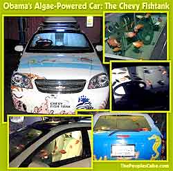 Obama's Algae-Powered Car: The Chevy Fishtank