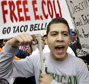 progressive ecoli taco bell activist parody