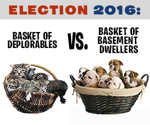 Basket of Basement Dwellers