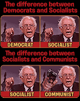 Difference between democrats and socialists