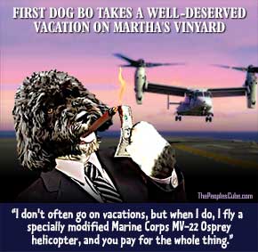 Cartoon: Obama's First Dog Bo files marine helicopter to vacation