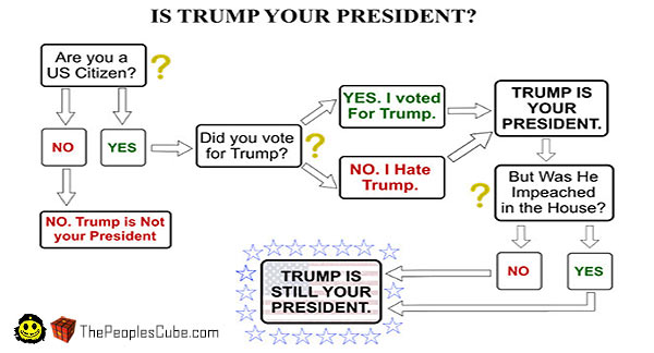 Chart_is_trump_president.jpg