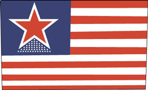 Revised flag DC star