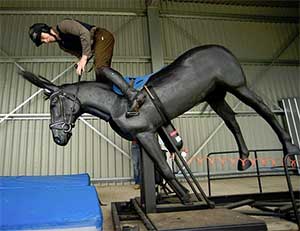 Christian high horse sensitivity training