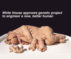 human-animal splicing