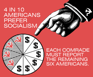 Report 6 Americans