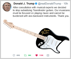 Transfender guitar tweet