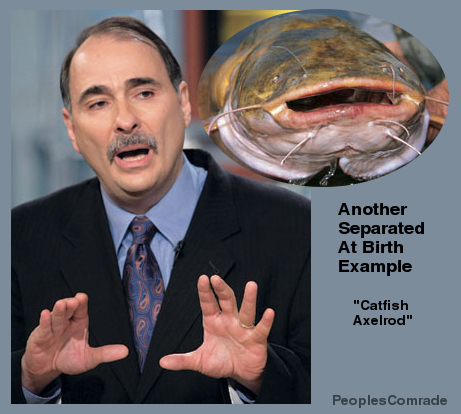 axelrod.jpg