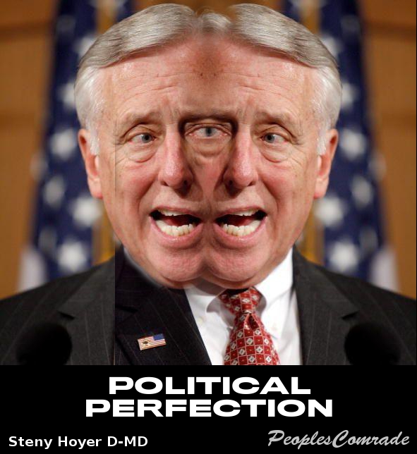 political perfection.jpg