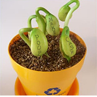 Magic Organic Gaia Friendly Beans.jpg