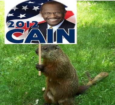 woodchuck2.jpg