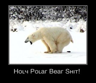 Copy of 315783_10150355214519156_564439155_8619730_415676931_n.jpg