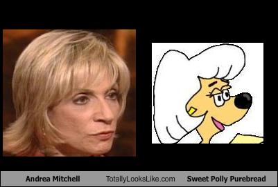 Andrea Mitchell.jpg