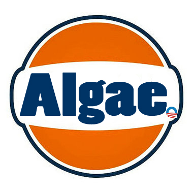 Algae.jpg