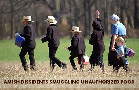 amish smugglers.jpg