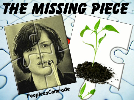 susan plant piece.jpg