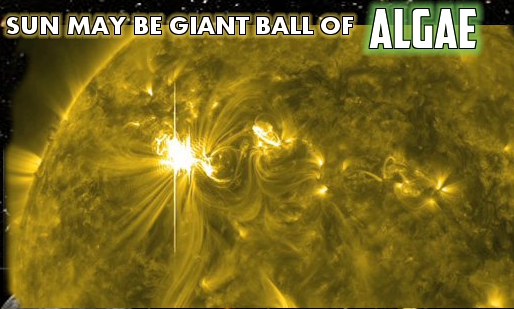 algae sun.jpg