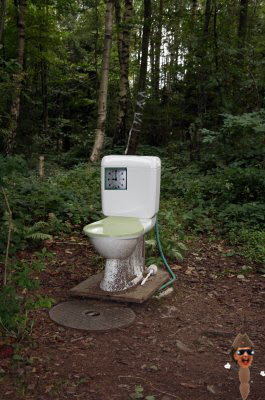 once-a-day-flusher_toilet.jpg
